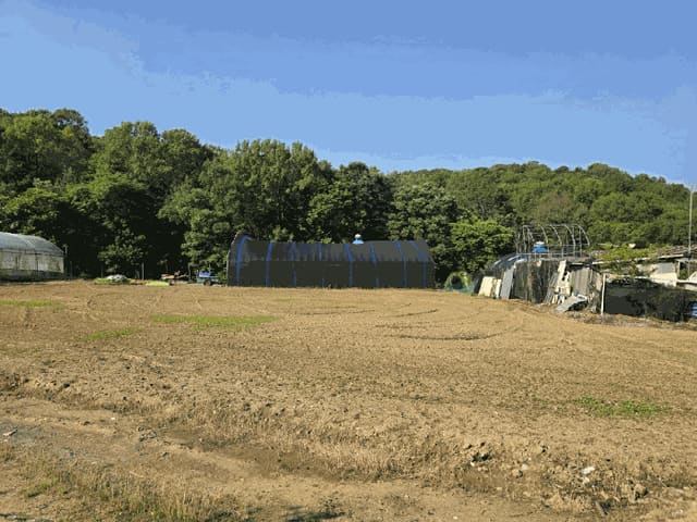 B250826202501300523844.jpg