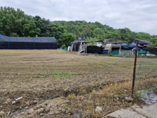 B250826202501300523842.jpg
