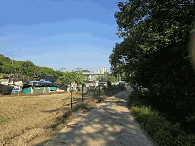 B250826202501300523843.jpg