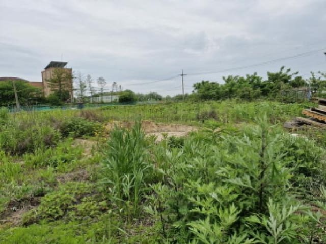B250826202501300524162.jpg
