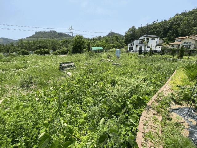 B250826202501300524233.jpg