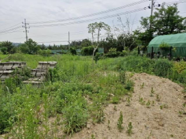 B250826202501300524231.jpg