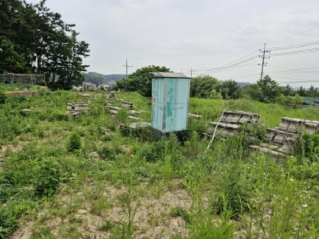 B250826202501300524232.jpg