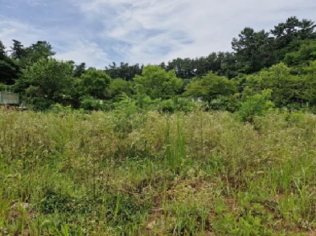 B250826202501300527561.jpg