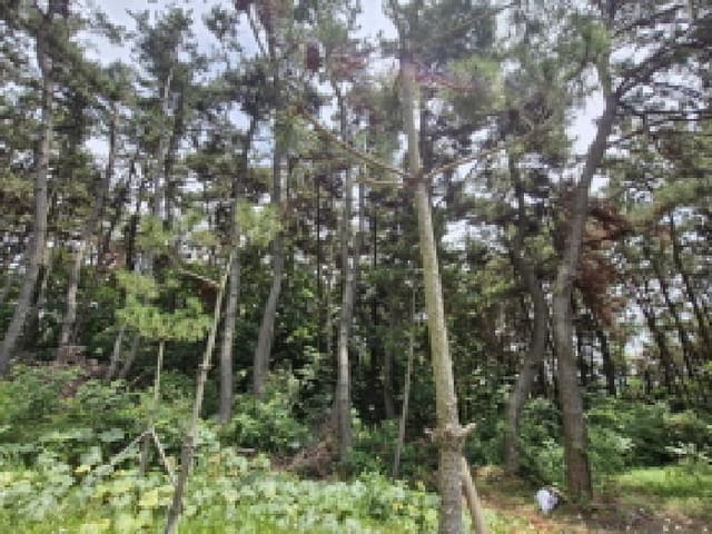 B250826202501300528162.jpg