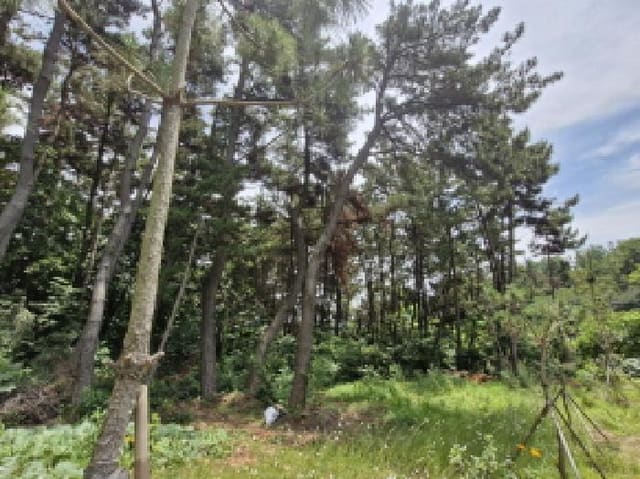 B250826202501300528163.jpg