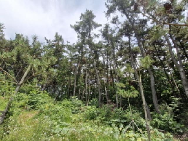 B250826202501300528161.jpg