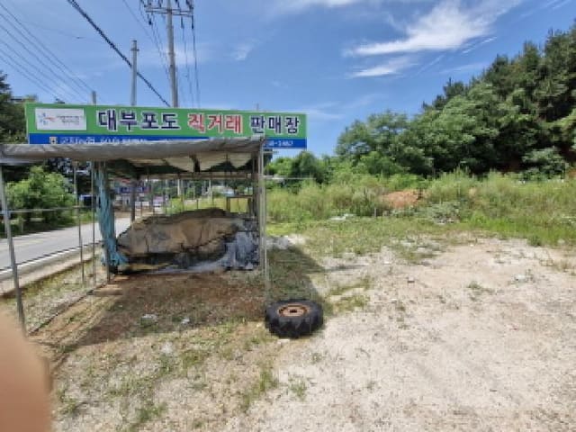 B250826202501300528164.jpg