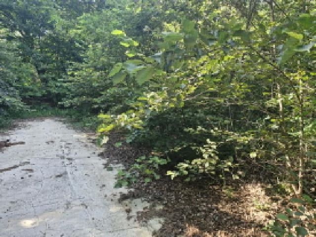B250826202501300529514.jpg