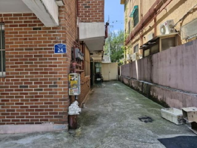 B250826202501300529541.jpg