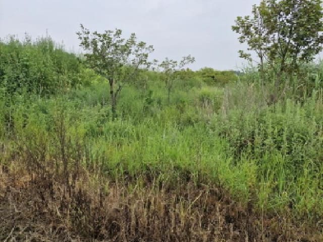 B250826202501300529902.jpg