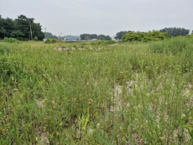 B250826202501300529903.jpg