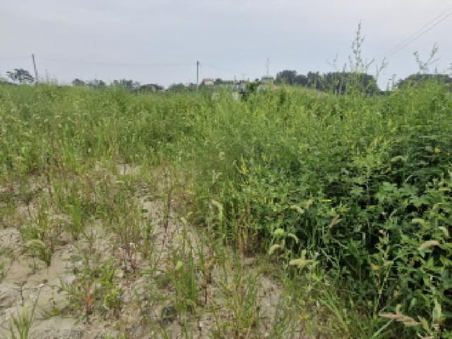 B250826202501300529904.jpg