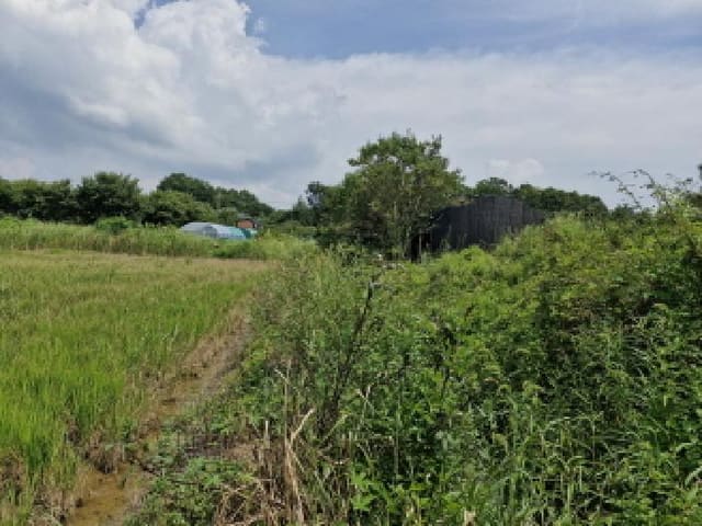 B250826202501300529944.jpg