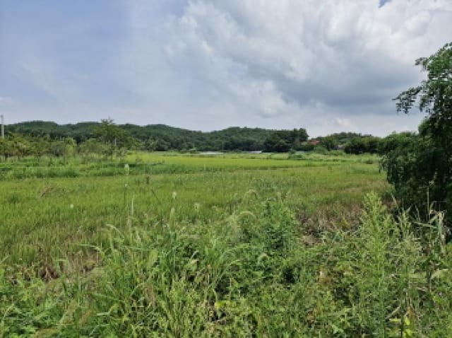 B250826202501300529941.jpg
