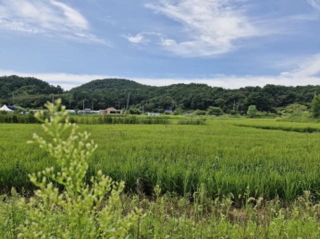 B250826202501300529963.jpg