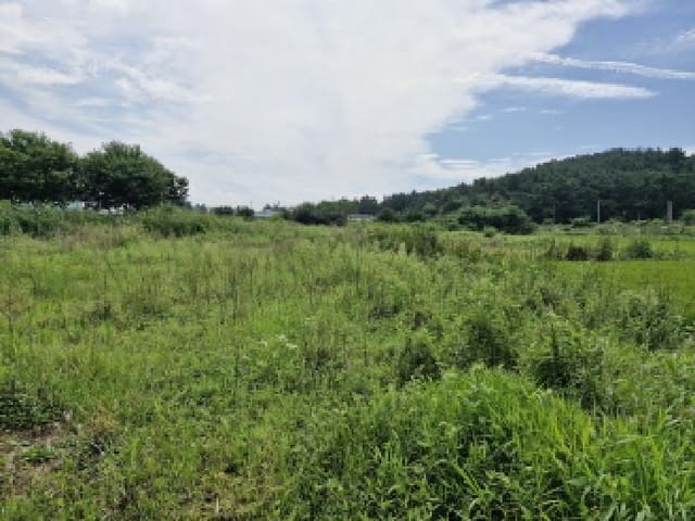 B250826202501300529961.jpg