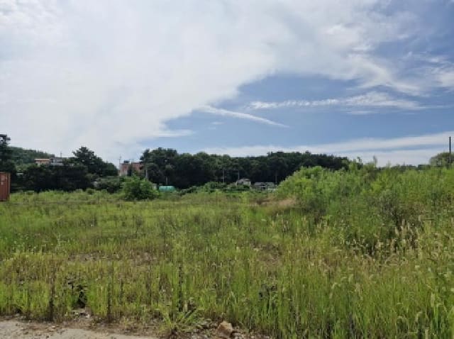 B250826202501300529992.jpg