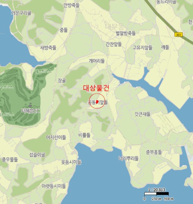B250826202501300529994.jpg
