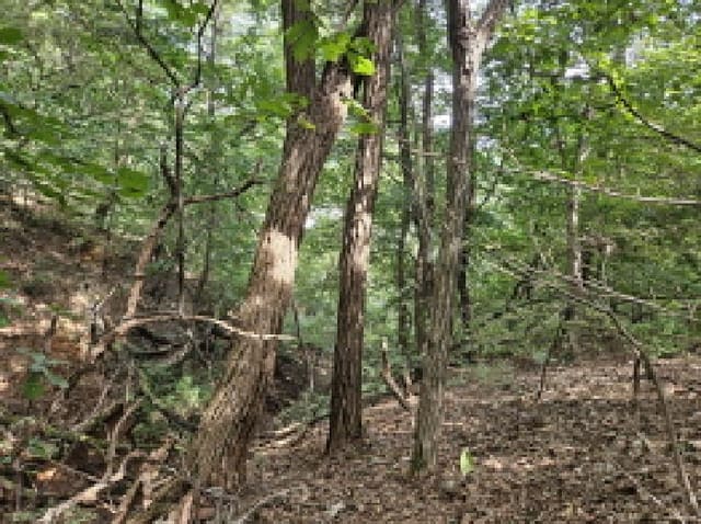 B250826202501300530263.jpg
