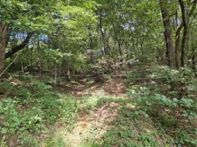 B250826202501300530262.jpg