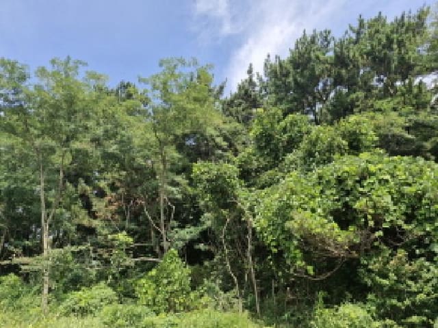B250826202501300530863.jpg