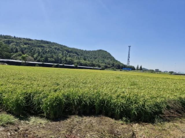 B250826202501300532051.jpg