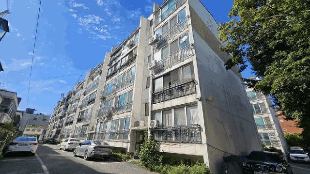 B250826202501300532313.jpg