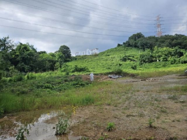 B250826202501300532752.jpg