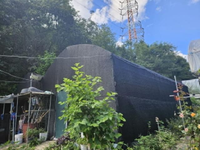 B250826202501300532864.jpg
