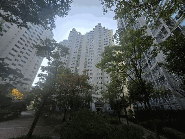 B250826202501300534604.jpg