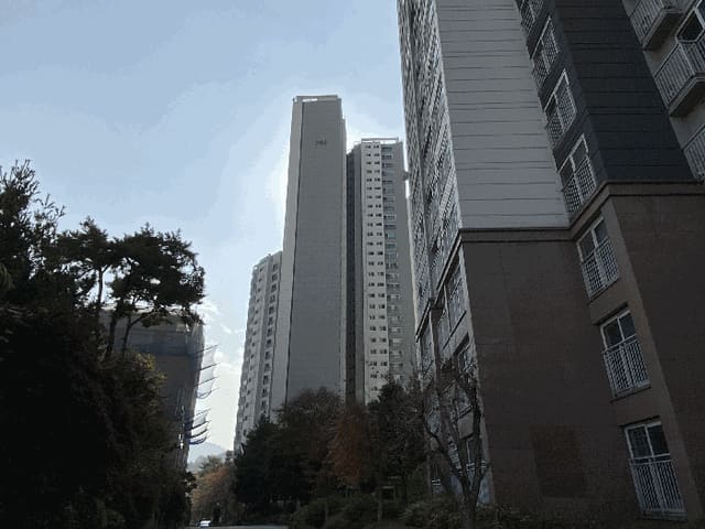 B250826202501300535313.jpg