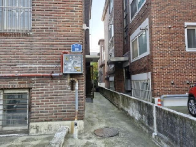 B250826202501300536081.jpg