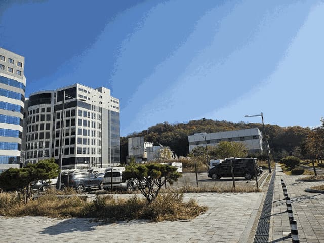 B250826202501300536874.jpg