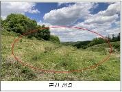 충청북도 괴산군 감물면 오성리 산 35-1