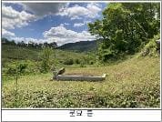 충청북도 괴산군 감물면 오성리 산 35-1