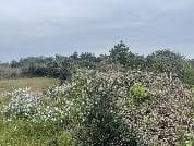 제주특별자치도 서귀포시 성산읍 수산리 4584,4584-2,4671,4671-2
