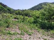 울산광역시 울주군 두서면 복안리 산 13-7