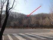 경기도 과천시 갈현동 산 126-2
