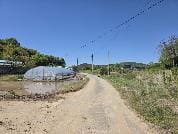 충청남도 당진시 면천면 성하리 107