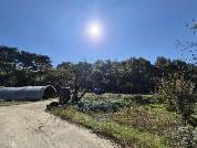 충청남도 당진시 정미면 산성리 산 11-4