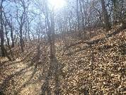 경기도 안양시 동안구 비산동 산 118