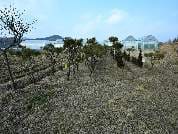 전라남도 화순군 능주면 만수리 558-11