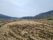 경기도 화성시 만세구 서신면 백미리 79 ,80,80-1,81,82,83