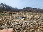 경기도 화성시 만세구 서신면 백미리 79 ,80,80-1,81,82,83