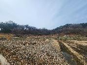 경기도 화성시 만세구 서신면 백미리 79 ,80,80-1,81,82,83