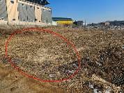 충청남도 천안시 서북구 성환읍 왕림리 453-3