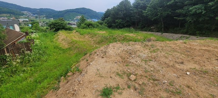 B000252202401300360724.jpg