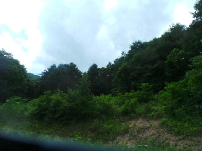 B0002602025013000089714.jpg