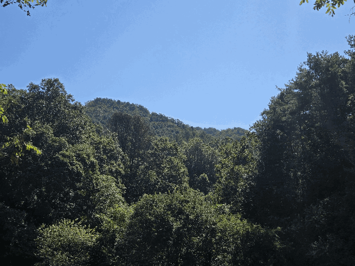 B000260202501300021384.jpg